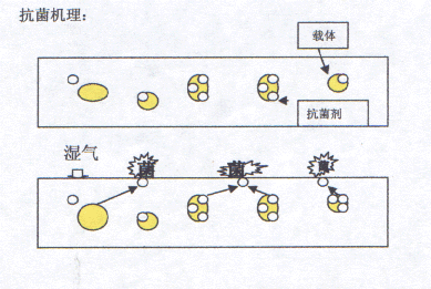 image001.gif